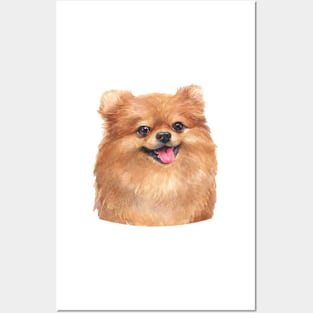 Red Pomeranian Watercolor Art Posters and Art